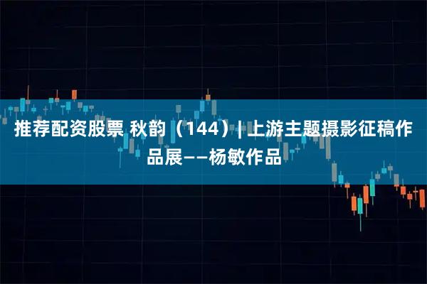 推荐配资股票 秋韵（144）| 上游主题摄影征稿作品展——杨敏作品