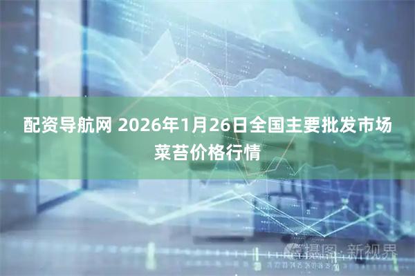 配资导航网 2026年1月26日全国主要批发市场菜苔价格行情