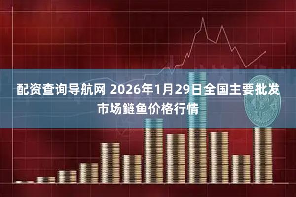配资查询导航网 2026年1月29日全国主要批发市场鲢鱼价格行情