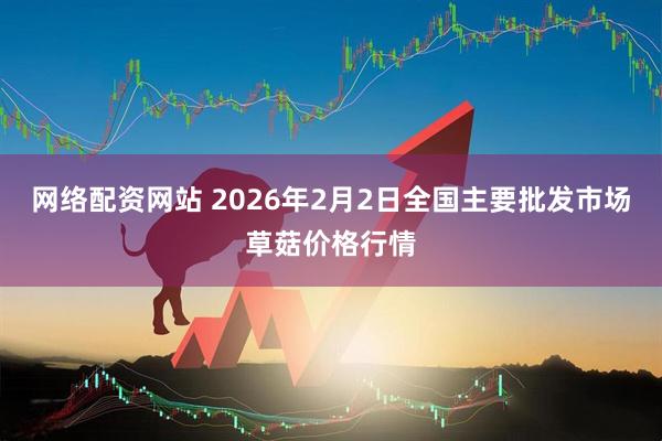 网络配资网站 2026年2月2日全国主要批发市场草菇价格行情
