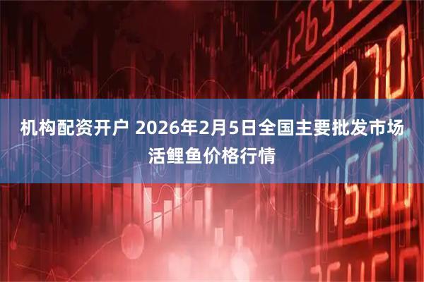 机构配资开户 2026年2月5日全国主要批发市场活鲤鱼价格行情