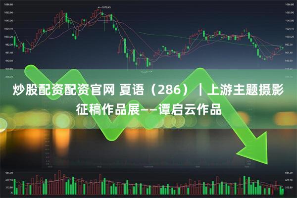 炒股配资配资官网 夏语（286）｜上游主题摄影征稿作品展——谭启云作品